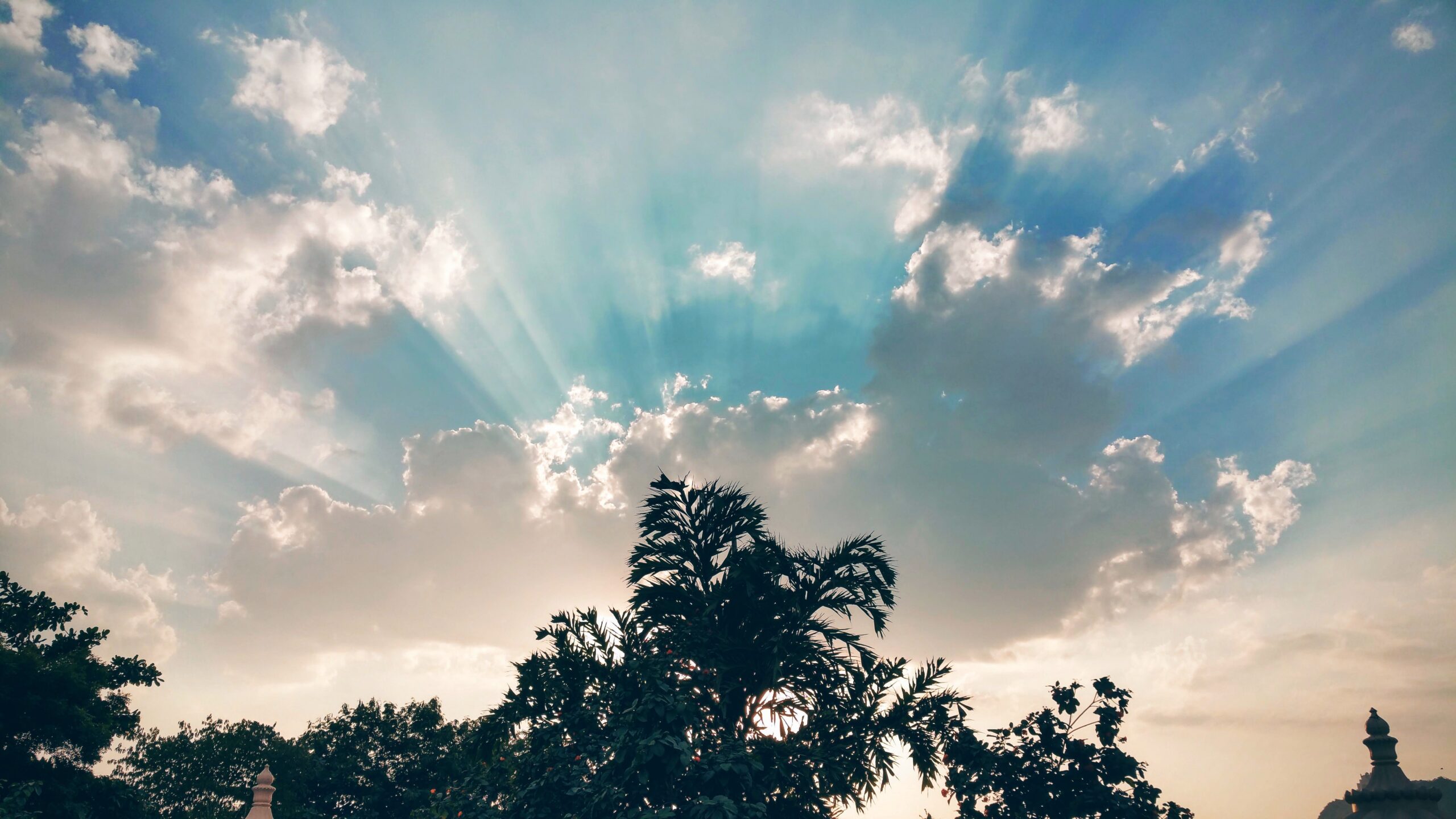 Looking to God
