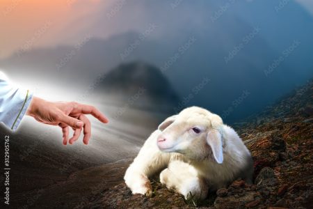 Jesus hand reaching out to a lost sheep