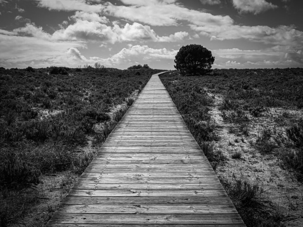 A serene black and white image of a wooden pathway leading through a desert landscape under dramatic clouds.